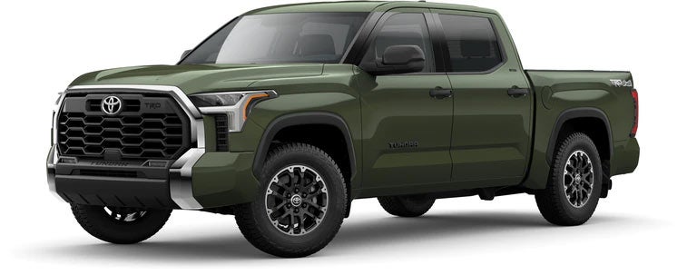 2022 Toyota Tundra SR5 in Army Green | Westchester Toyota in Yonkers NY