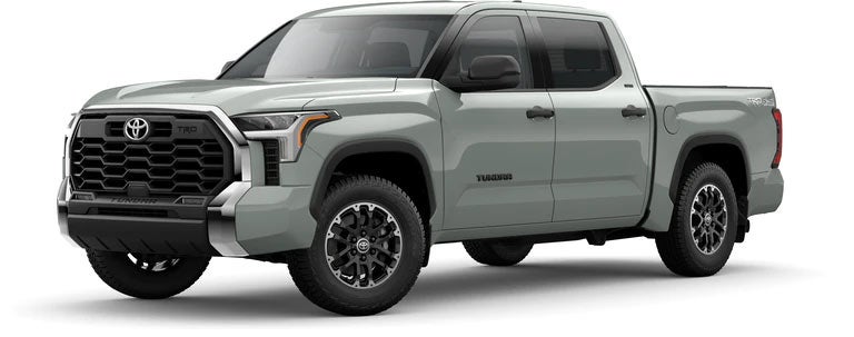 2022 Toyota Tundra SR5 in Lunar Rock | Westchester Toyota in Yonkers NY