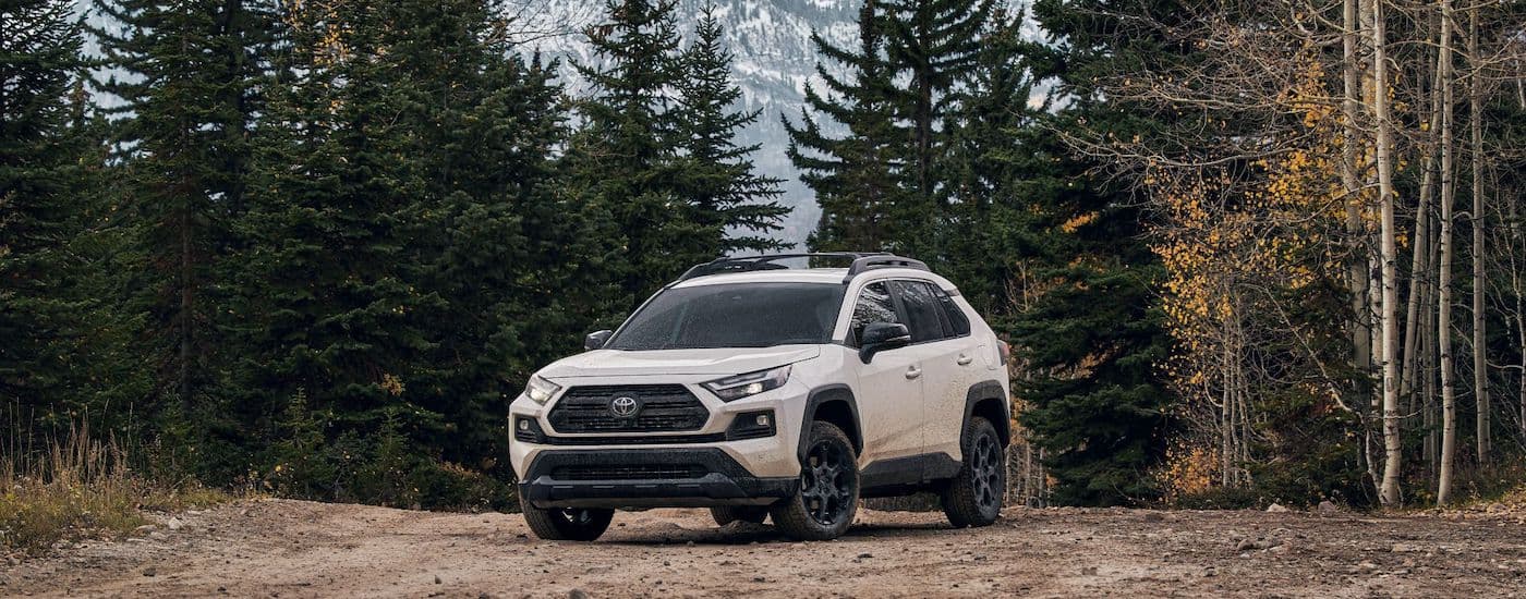A white 2022 Toyota RAV4 for sale is shown from the front at an angle while off-road.